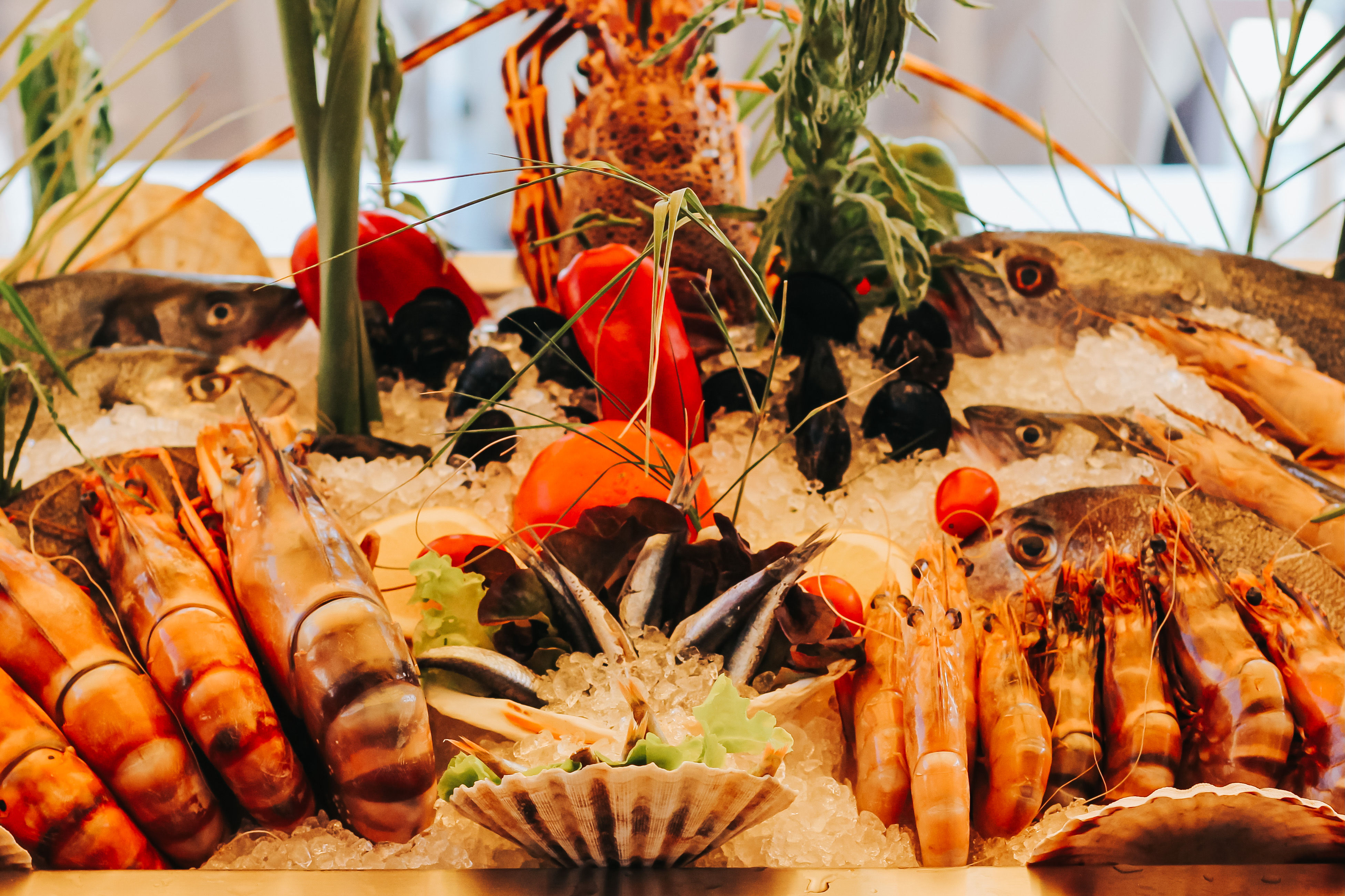 A beautifully arranged seafood display 