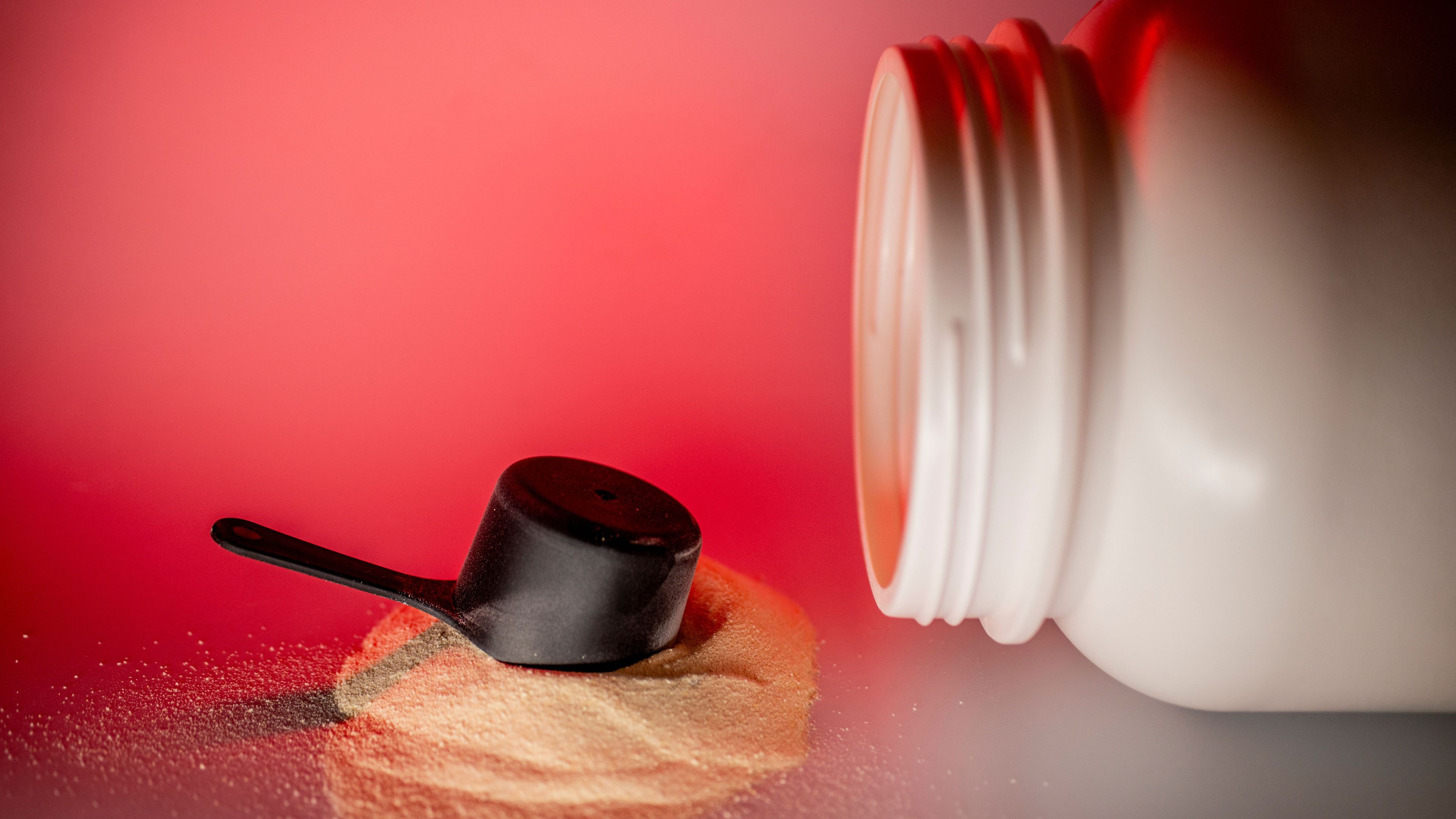 Image of protein powder