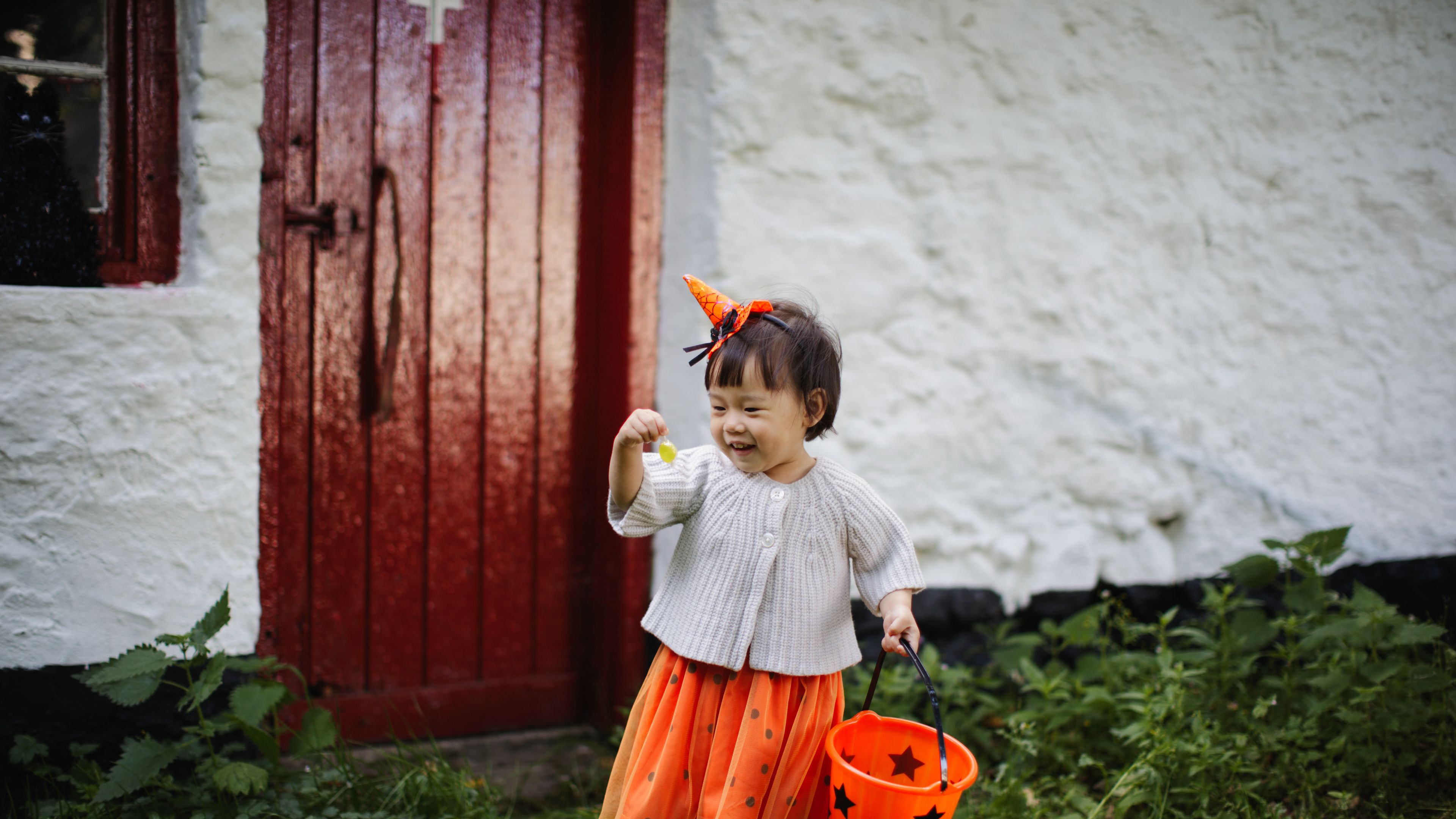 Kid in Halloween dress